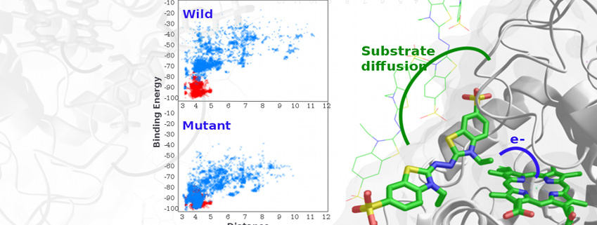 Enzymatic Catalysis, Catalytic Mechanisms 10| Tulane