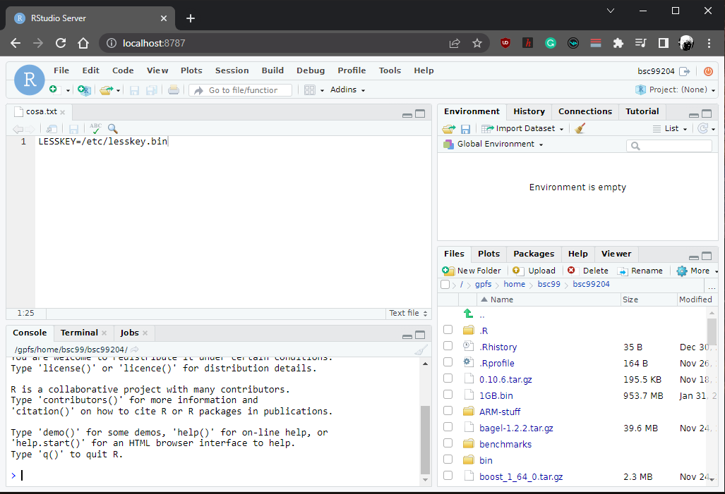 RStudio session using port forwarding